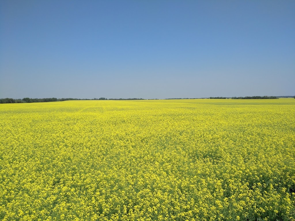 Pioneer Gun Club | Sturgeon County, AB T8T, Canada