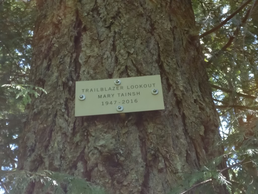 Trailblazer Lookout | Howe Sound Crest Trail, Squamish-Lillooet D, BC V0N, Canada