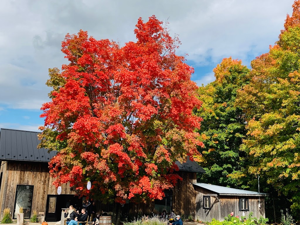 Le Flanc Nord - Orchard & Cidery | 835 Chem. Rouillard, Mont-Saint-Hilaire, QC J3H 0K4, Canada | Phone: (450) 464-7432