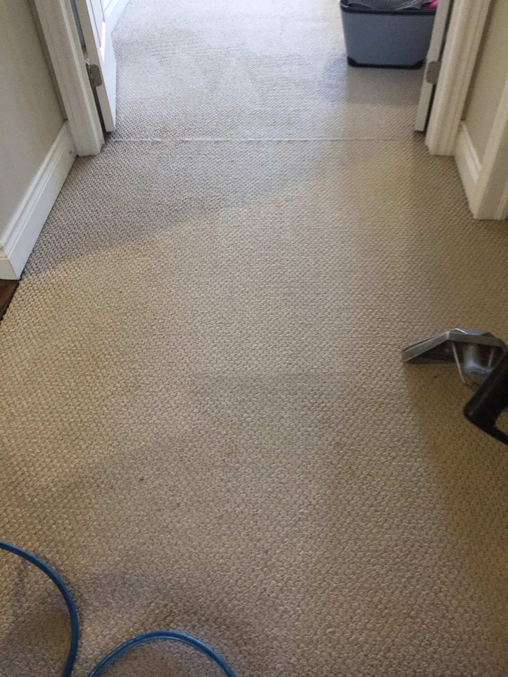 Maple Carpet Cleaning | 37 Grovepark St, Richmond Hill, ON L4E 3L5, Canada | Phone: (416) 402-2008