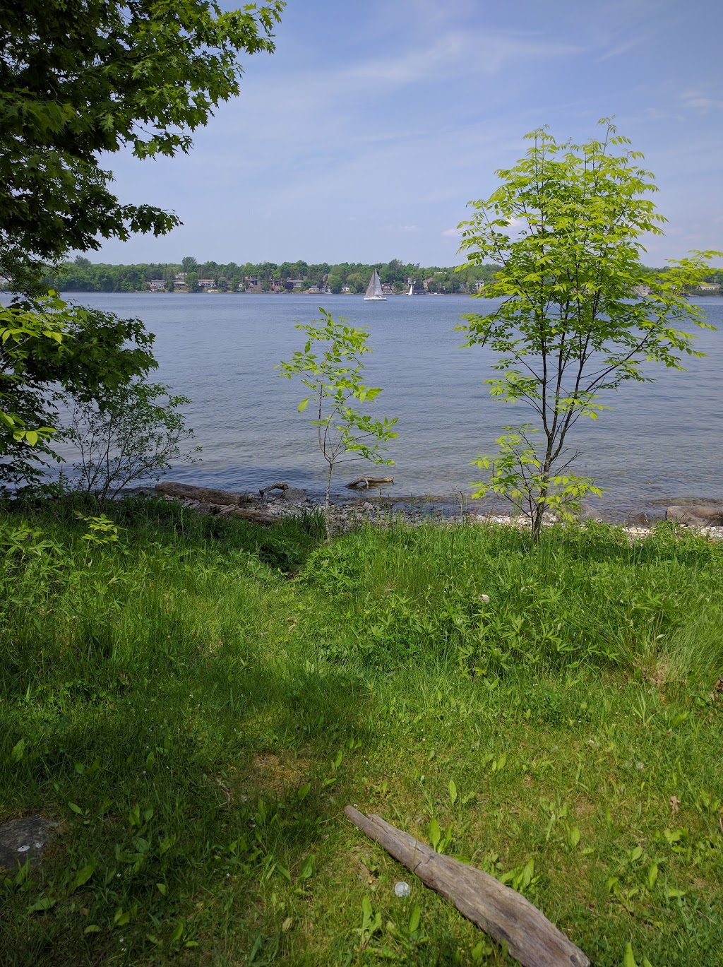 Lemoine Point Conservation Area | Trillium Trail, Kingston, ON K7M, Canada