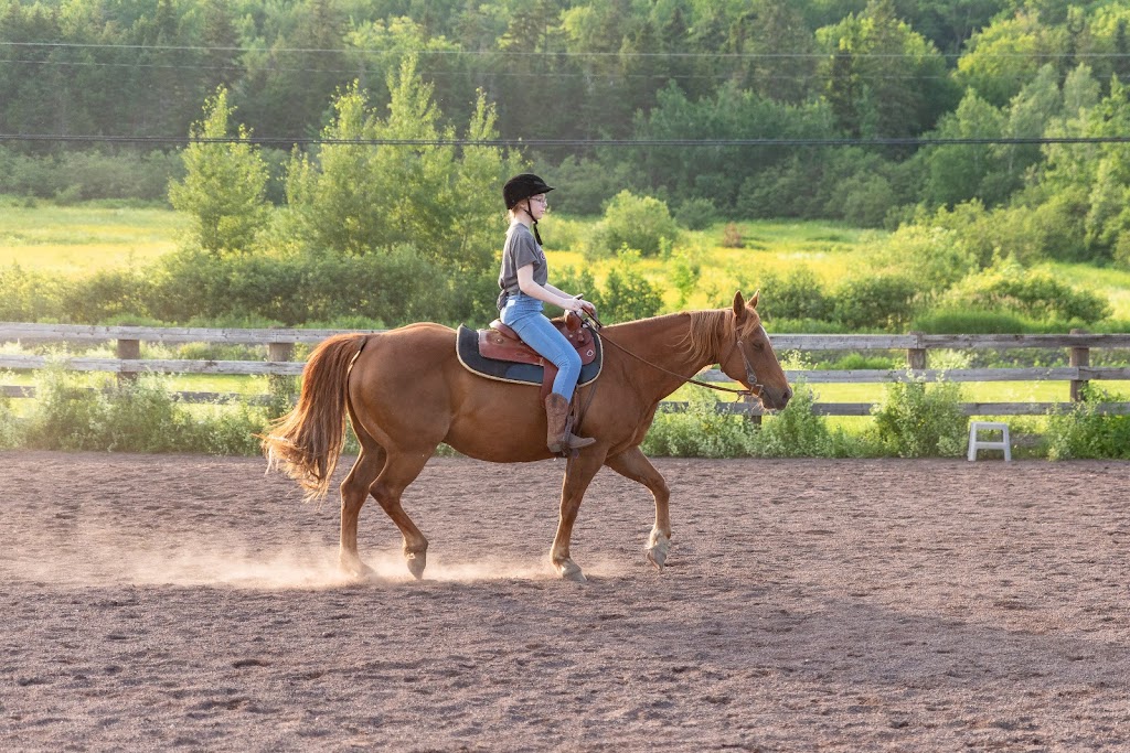 Ammon Stables | 472 Ammon Rd, Ammon, NB E1G 3N4, Canada | Phone: (506) 871-7212