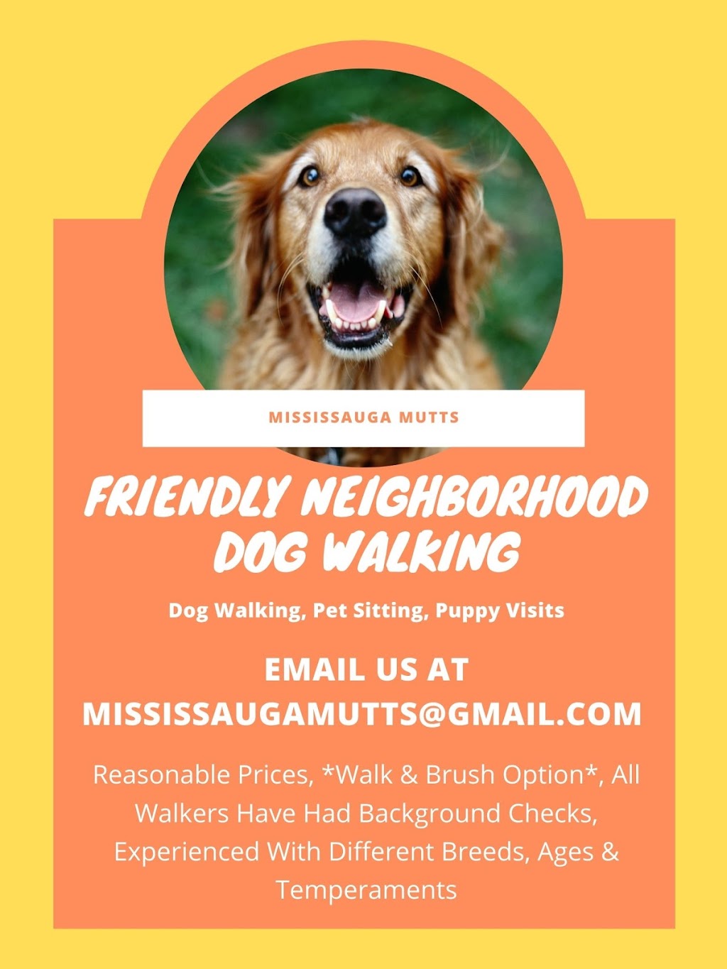 Mississauga Mutts Dog Walking | Gripsholm Rd, Mississauga, ON L4Y 2G9, Canada | Phone: (289) 633-6630