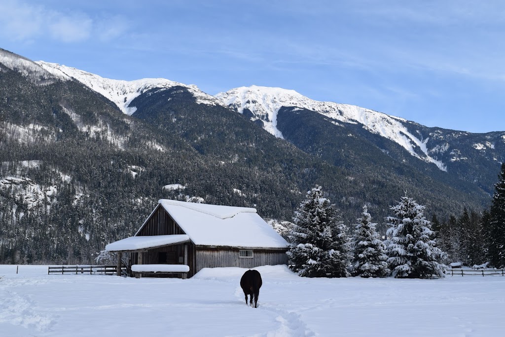 Pemberton Valley Farms | 9302 Pemberton Meadows Rd, Pemberton, BC V0N 2L2, Canada | Phone: (604) 894-6773