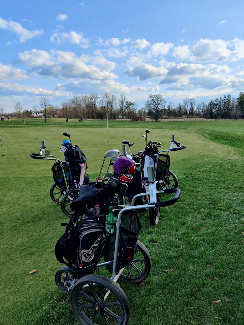 Bushwood Golf Club | 10905 Reesor Rd, Markham, ON L6B 1A8, Canada | Phone: (905) 640-1233