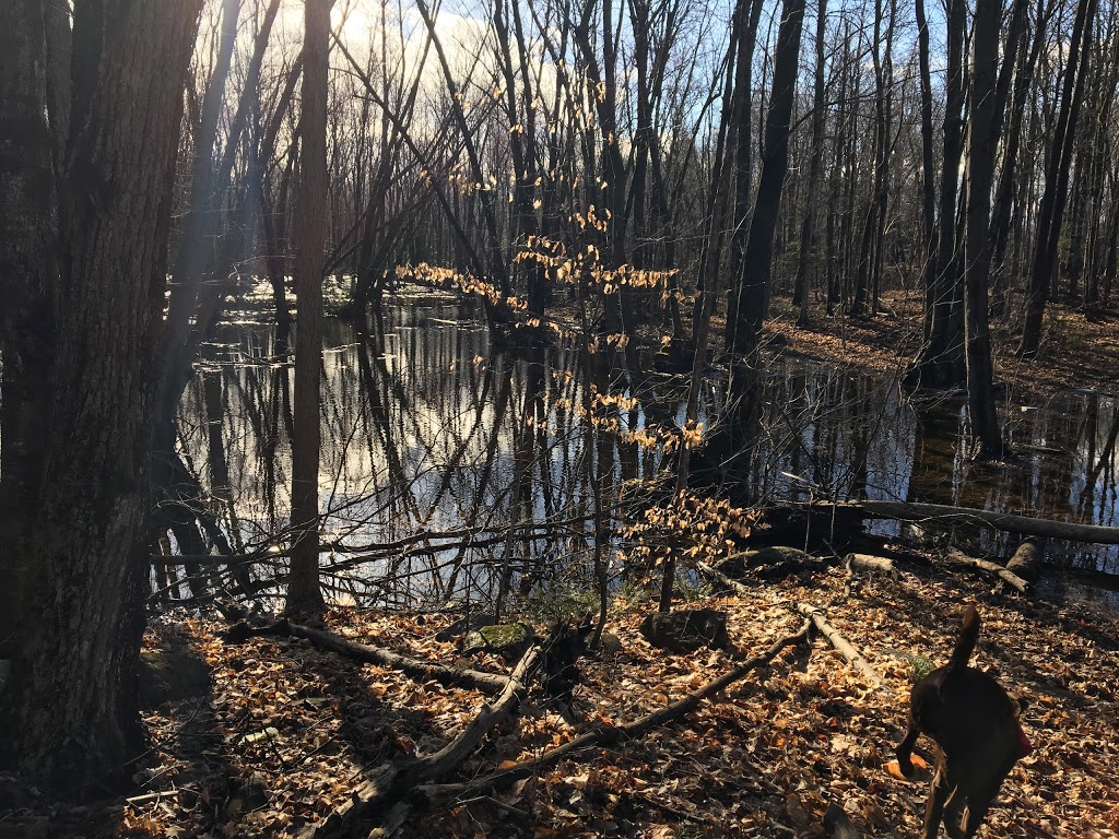 Bois de la Source | 1130 18e Av, Laval, QC H7R 4P6, Canada