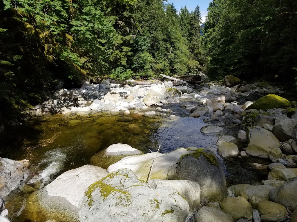 Dakota Creek Dam Site | British Columbia V0N 3A4, Canada | Phone: (604) 886-8473