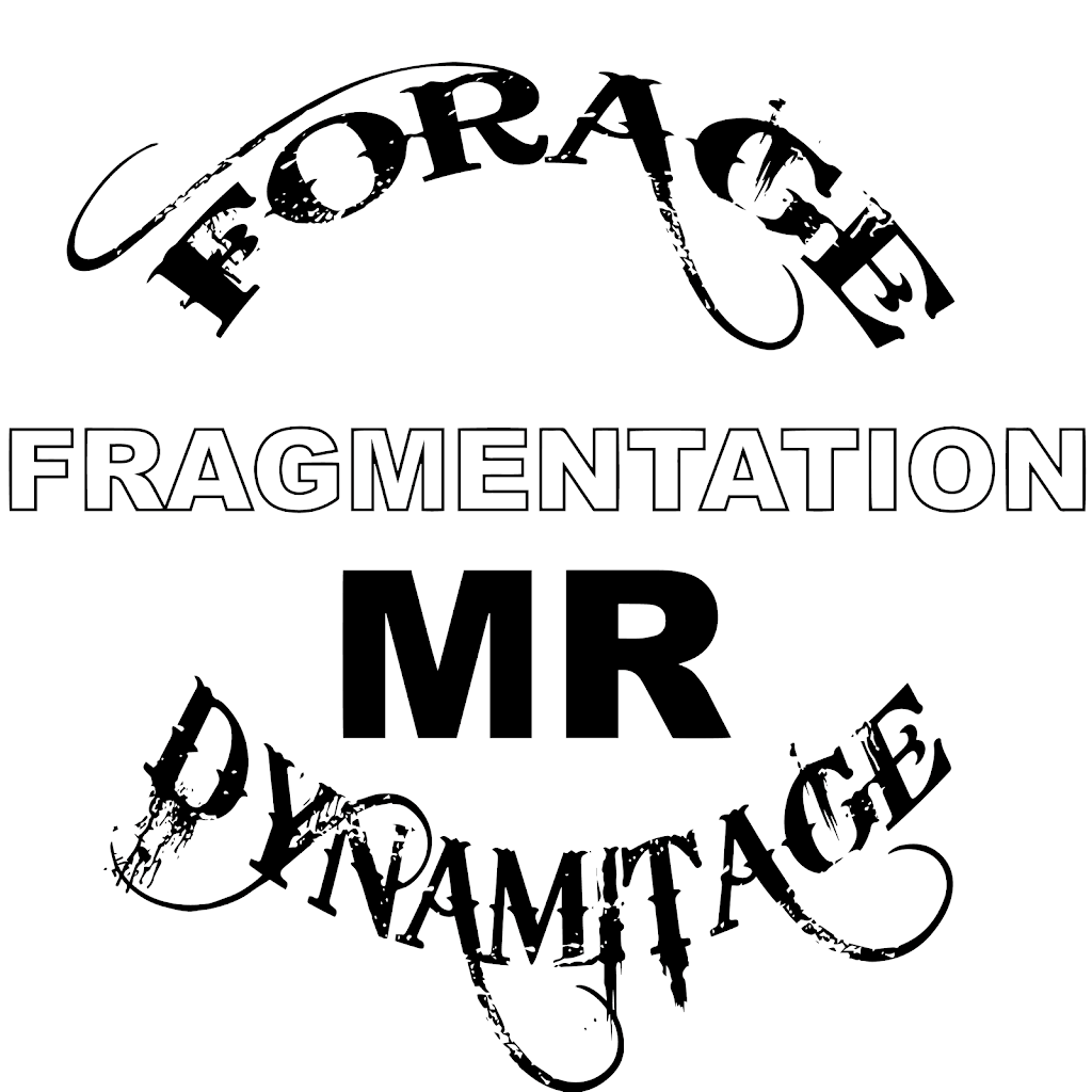 Fragmentation MR inc | 1383 Rue Jacques-Bédard, Québec, QC G3G 1P7, Canada | Phone: (418) 573-0202