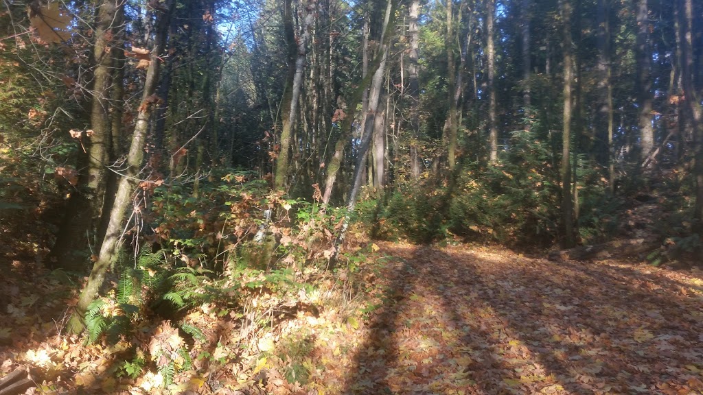 North Vancouver Cemetery | Lillooet Rd, North Vancouver, BC V7J, Canada