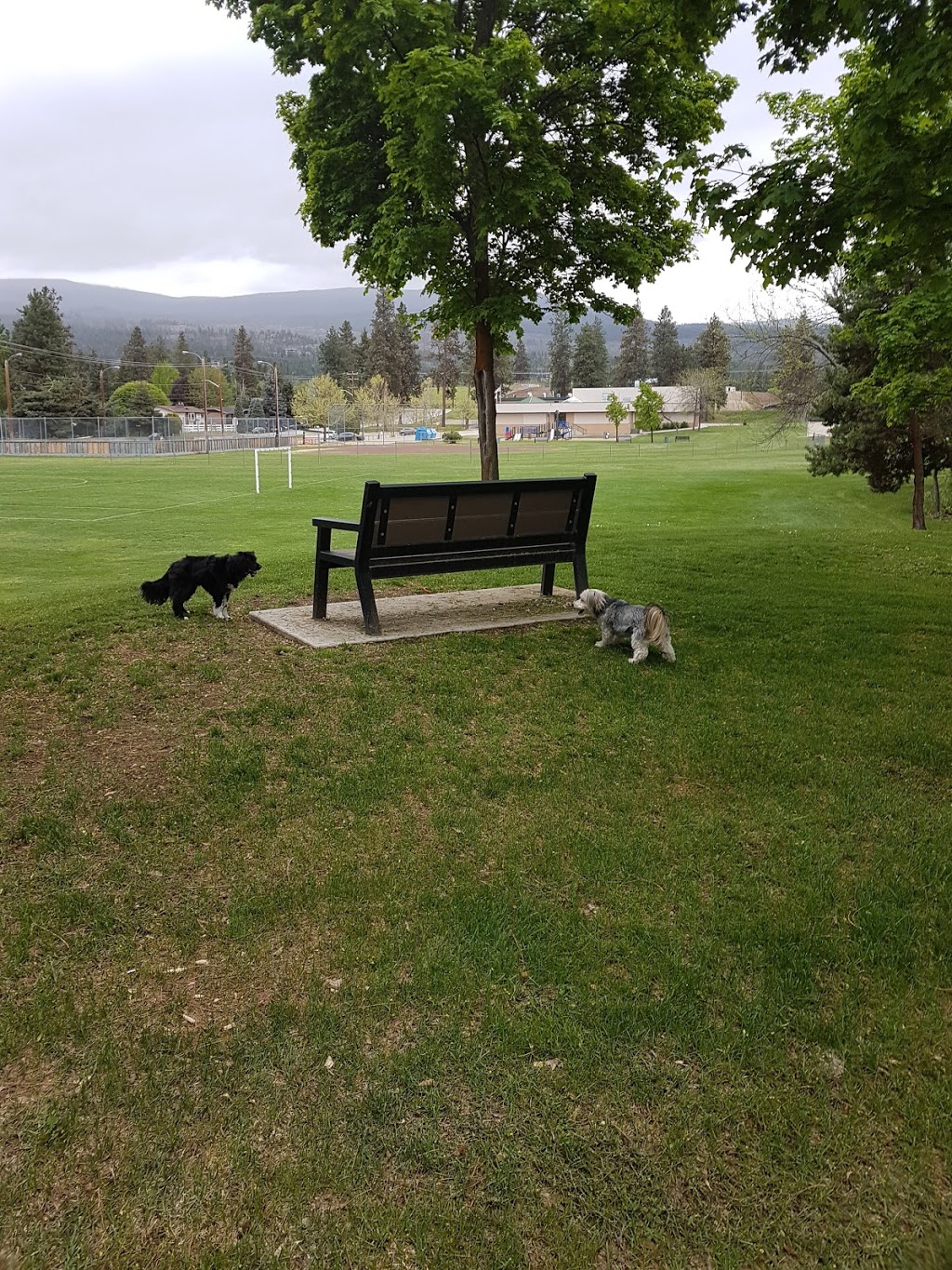 South Kelowna Centennial Park | 4102 Spiers Rd, Kelowna, BC V1W 4B5, Canada