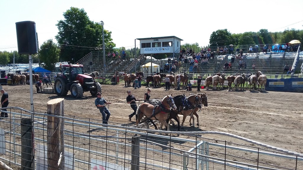 Beef Festival | 1910 Route Dublin, Inverness, QC G0S 1K0, Canada | Phone: (418) 453-2592