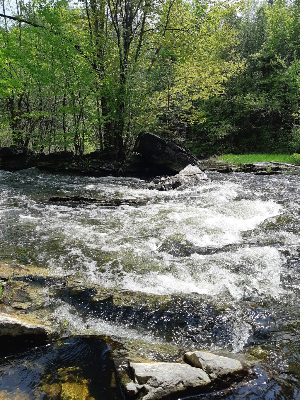 Mill of Kintail Conservation Area | 2854 Ramsay Concession 8, Almonte, ON K0A 1A0, Canada | Phone: (613) 256-3610