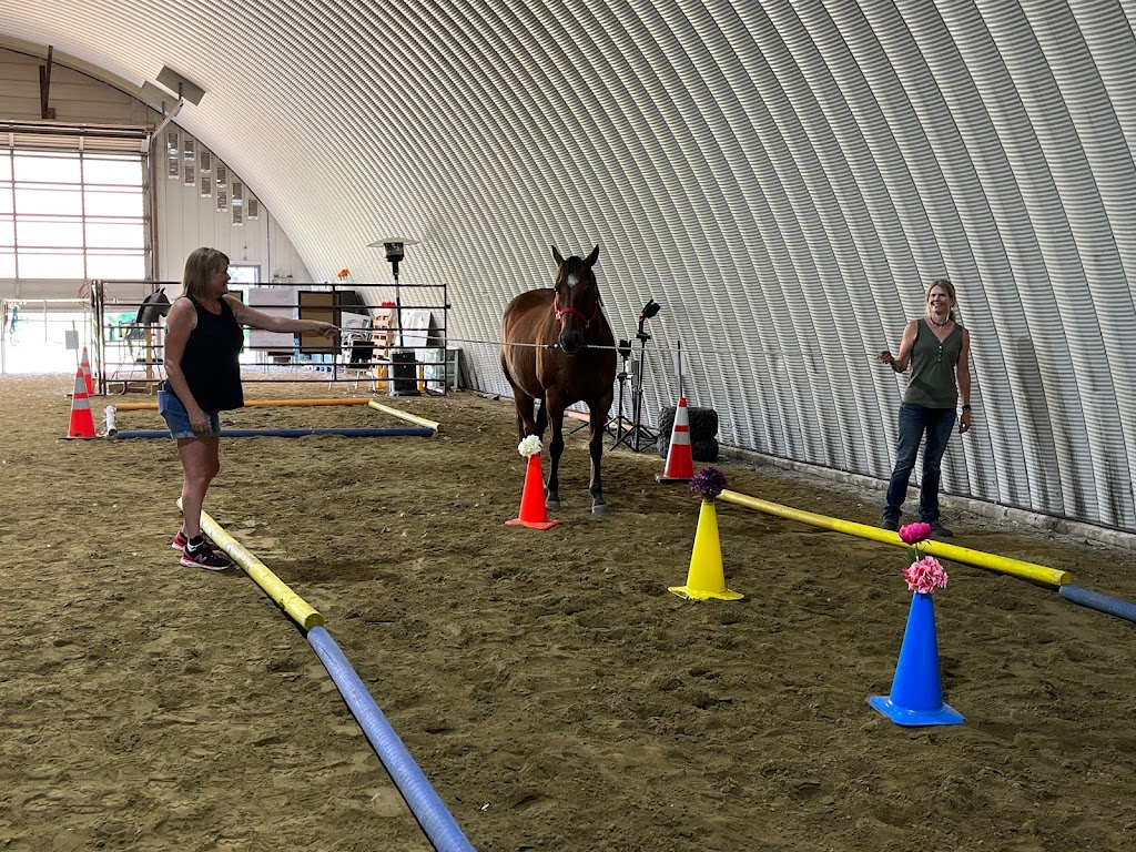 Parallel Effects Equine | 48074 Range Rd 205, Armena, AB T0B 0G0, Canada | Phone: (780) 893-0271