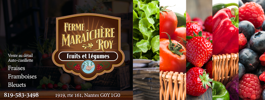 Ferme Maraîchère Roy | 1919 QC-161, Nantes, QC G0Y 1G0, Canada | Phone: (819) 583-3498