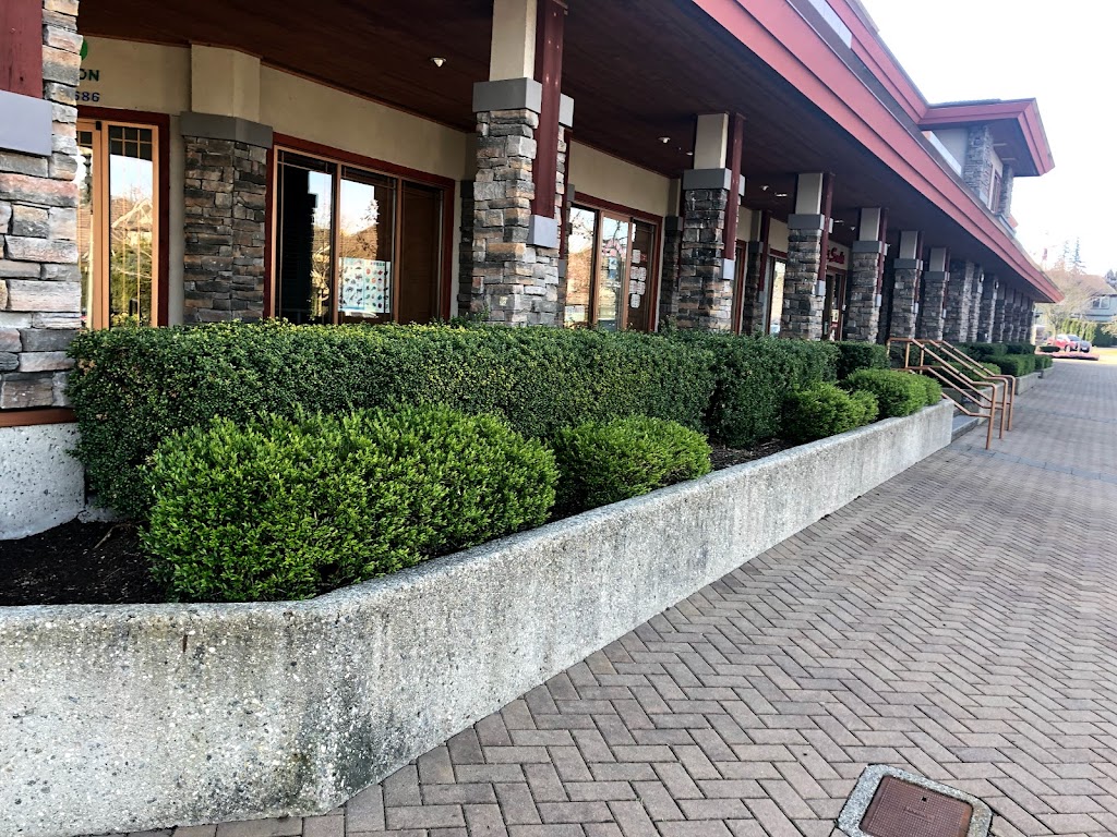 Vista Landscape Services | 23293 34a Ave, Langley Twp, BC V2Z 2H6, Canada | Phone: (604) 857-3377