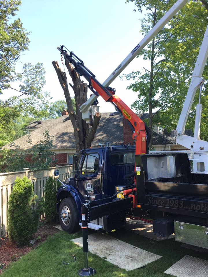 Skratts Tree Service Inc | 1494 Ontario St, Cobourg, ON K9A 4J7, Canada | Phone: (905) 373-0533