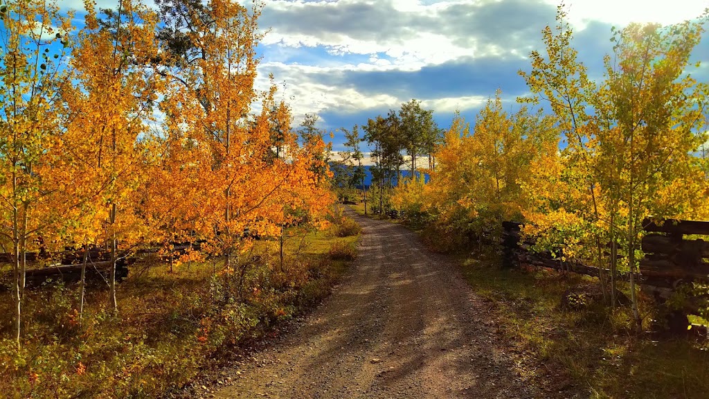 Meadow Lake Guest Ranch | Meadow Lake Rd, Clinton, BC V0K 1K0, Canada | Phone: (833) 238-1200