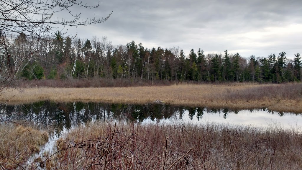 L-Lake Management Area trail access | Lambton Shores, ON N0M 2L0, Canada