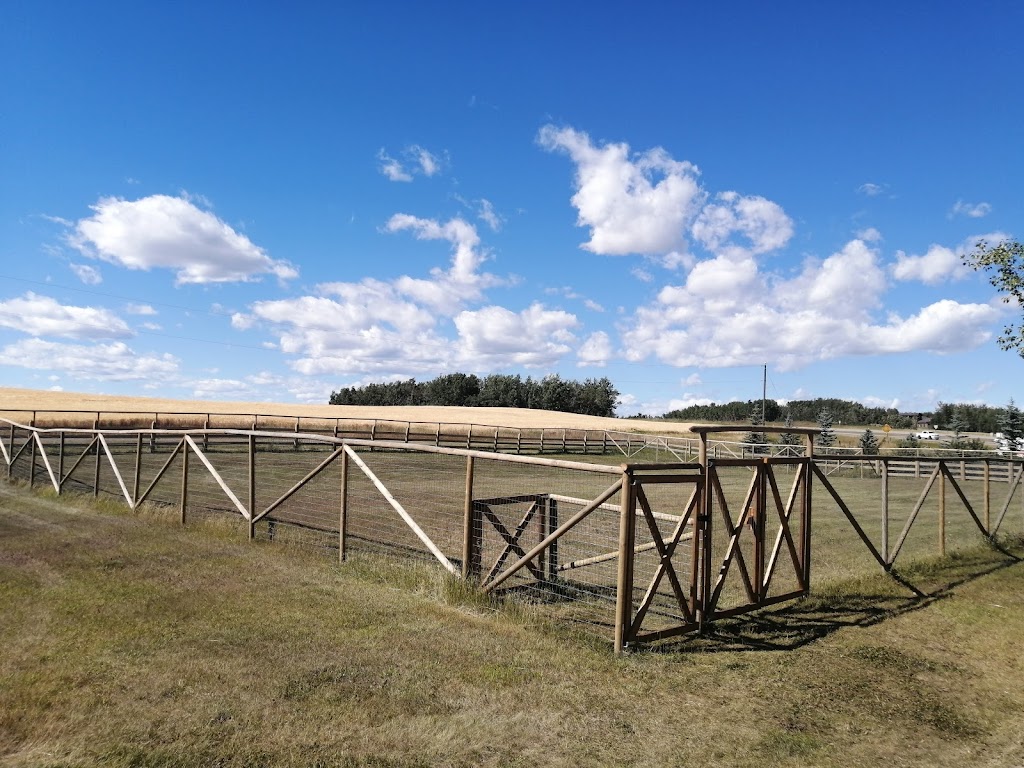 Bearspaw Pet Ranch | 260016 Canning Ln, Alberta T4C 2Y9, Canada | Phone: (403) 903-3358