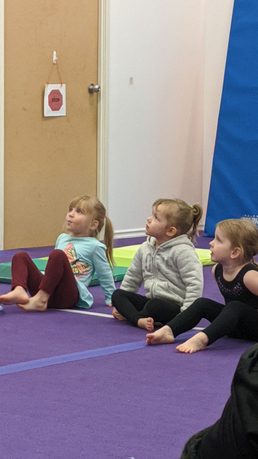 Precision Gymnastics | 3326 Limebank Rd, Ottawa, ON K1V 1H2, Canada | Phone: (613) 608-9002