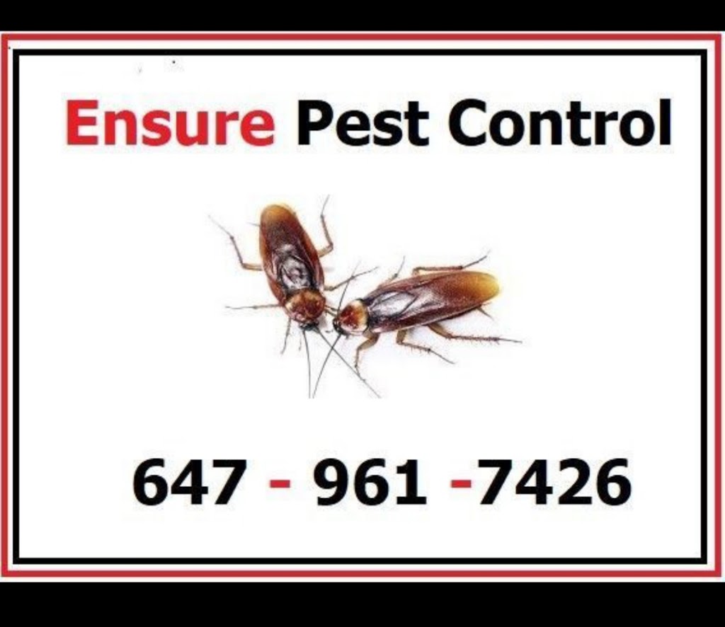 Ensure Pest Control Inc. | 2247 Hurontario St, Mississauga, ON L5A 2G2, Canada | Phone: (647) 961-7426