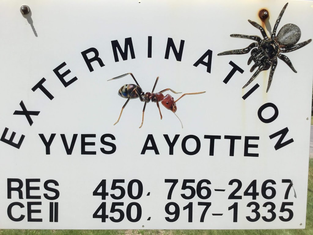 Extermination Yves Ayotte | 5101 Rue Principale, Lourdes-de-Joliette, QC J0K 1K0, Canada | Phone: (450) 917-1335