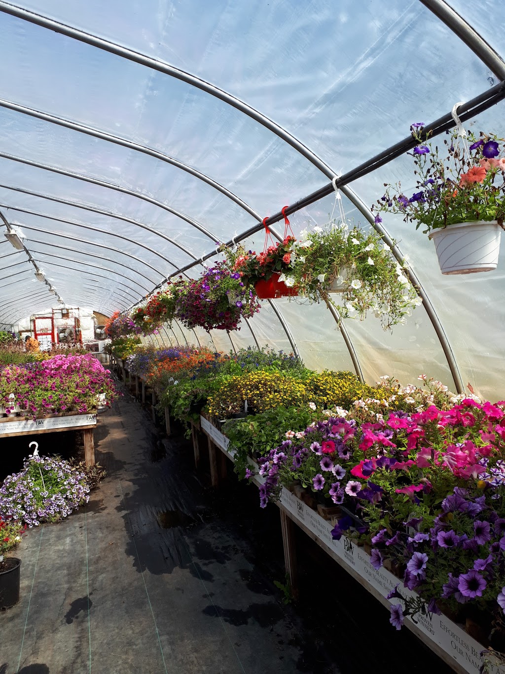 Granola Garden Ctr | 3304 Morin Dr, Gunn, AB T0E 1A0, Canada | Phone: (587) 859-1633