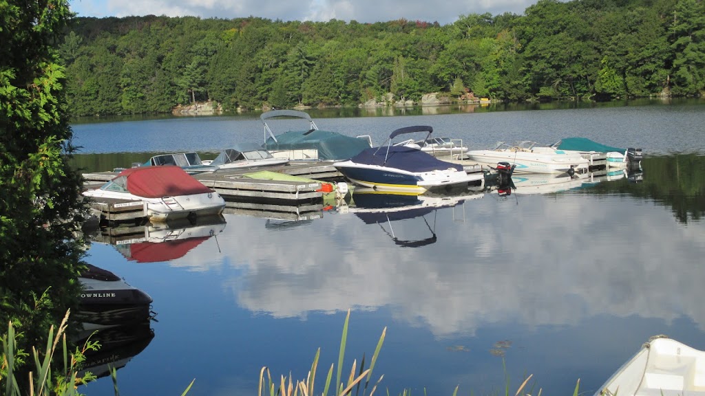 Blue Crane Marina | 510 Blackstone Crane Lake Rd, Parry Sound, ON P2A 2W8, Canada | Phone: (416) 566-1317