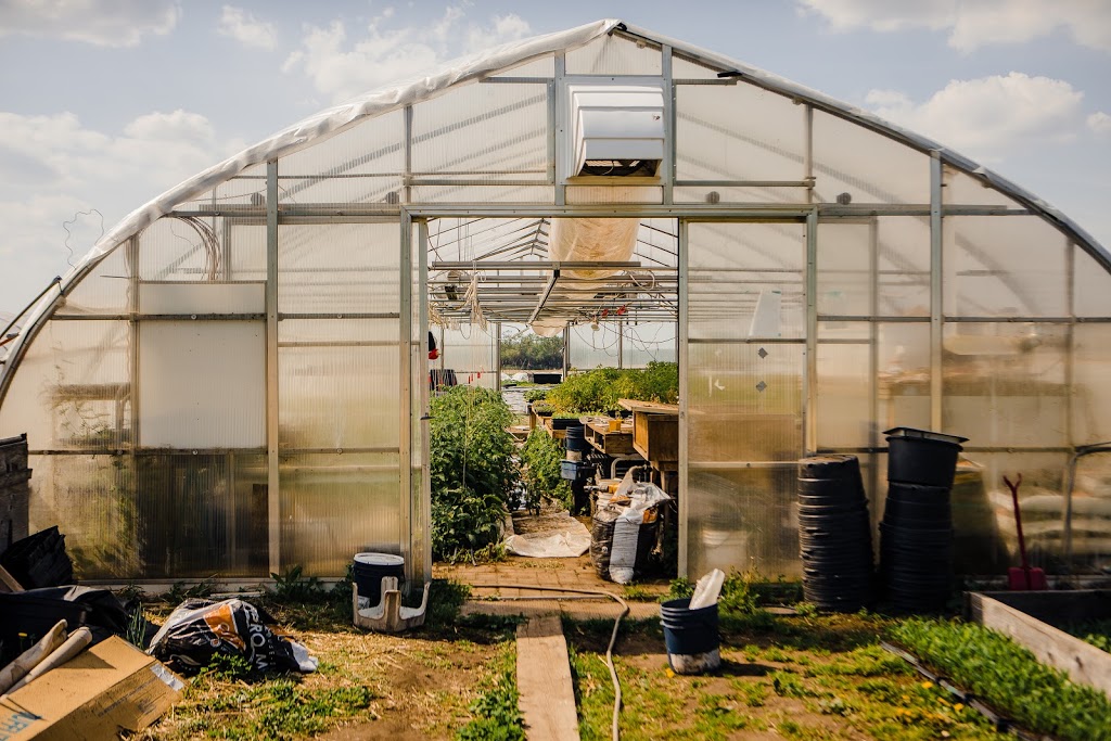 Les Hautes Herbes - Coop maraîchère | 681 Chemin Mazuret, Repentigny, QC J5Z 4C7, Canada | Phone: (438) 409-0399