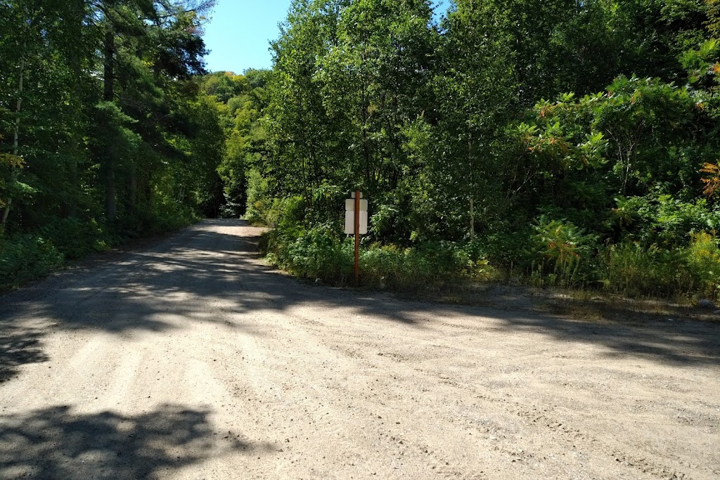 Site De La Plage/Beach - Poisson Blanc - Secteur Rapide Du Fort | 24 Chem. du Rapide du Fort, Antoine-Labelle, QC J0W 1S0, Canada | Phone: (866) 707-2999