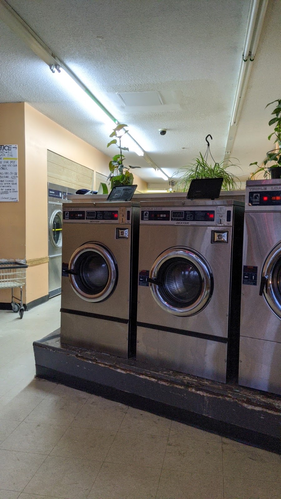 St. Helens Launderette and Dry Cleaners | 10281 128 St, Surrey, BC V3T 2Z2, Canada | Phone: (604) 584-4818