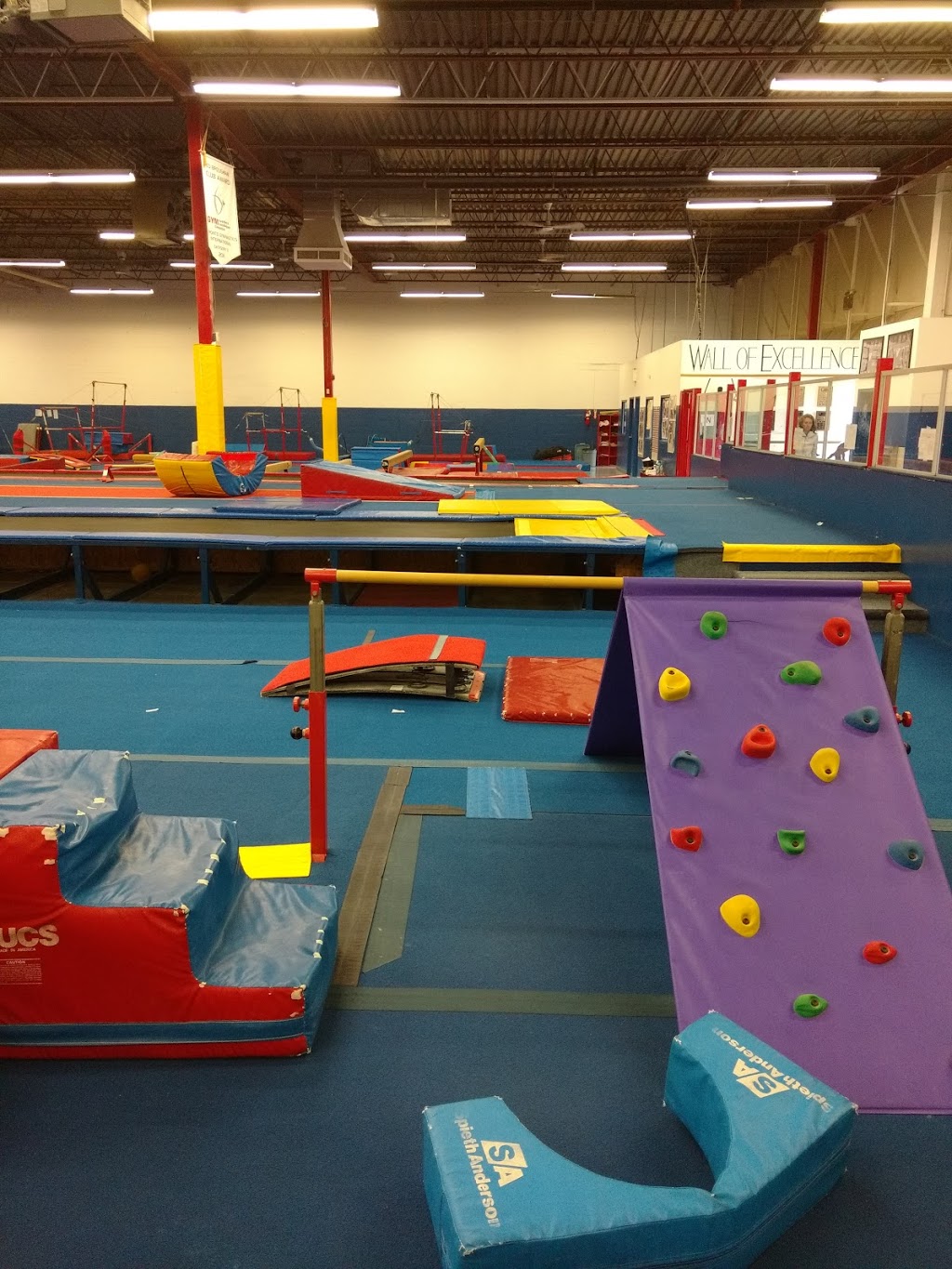 Toronto Gymnastics International | 77 Browns Line Road Units B&C, Etobicoke, ON M8W 3S2, Canada | Phone: (416) 253-1443