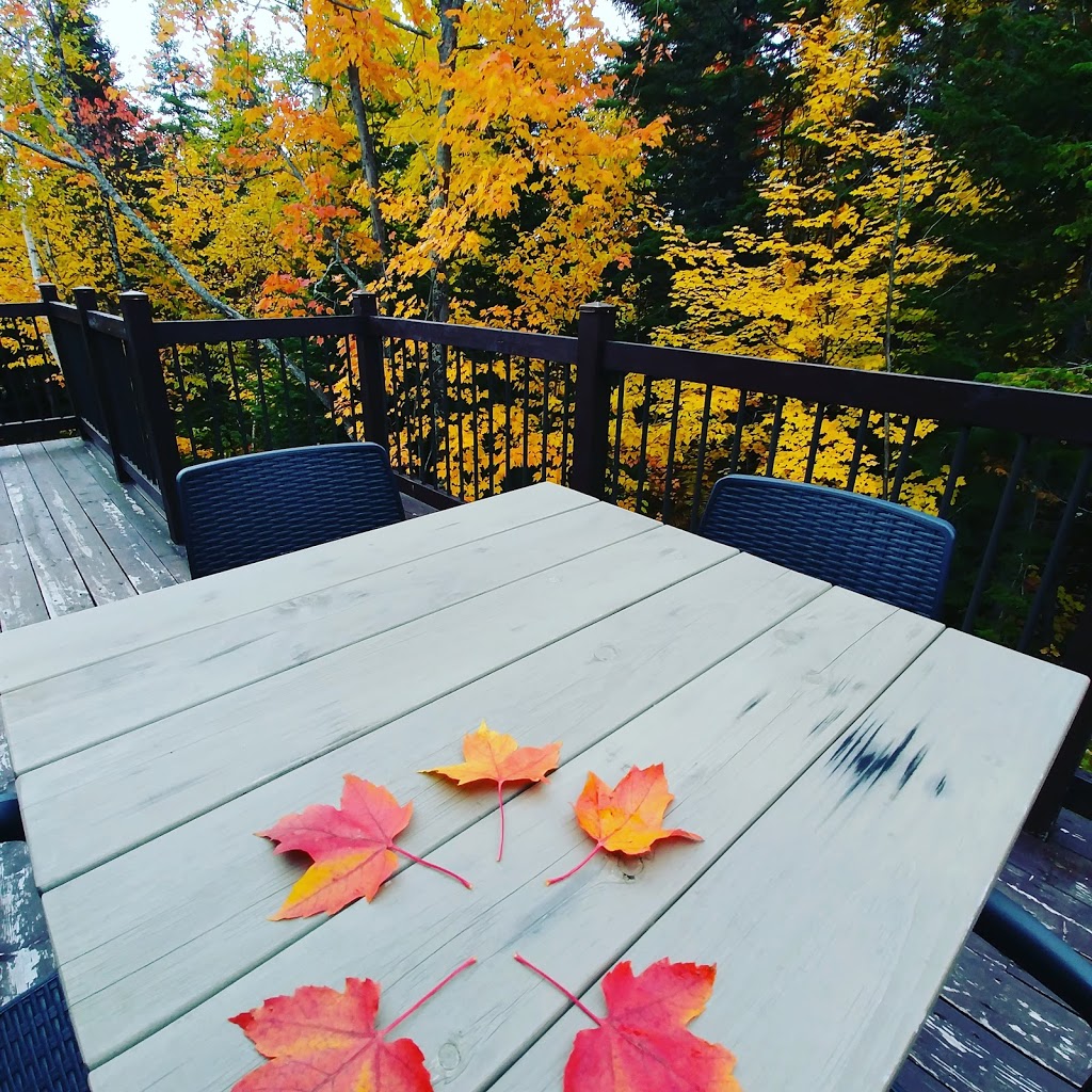 Chalet Au Grand Merisier | Petite-Rivière-Saint-François, QC G0A 2L0, Canada