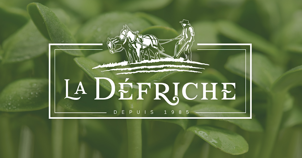 La Défriche | 131 Chem. du Lac Grosleau, Ripon, QC J0V 1V0, Canada | Phone: (819) 428-3940