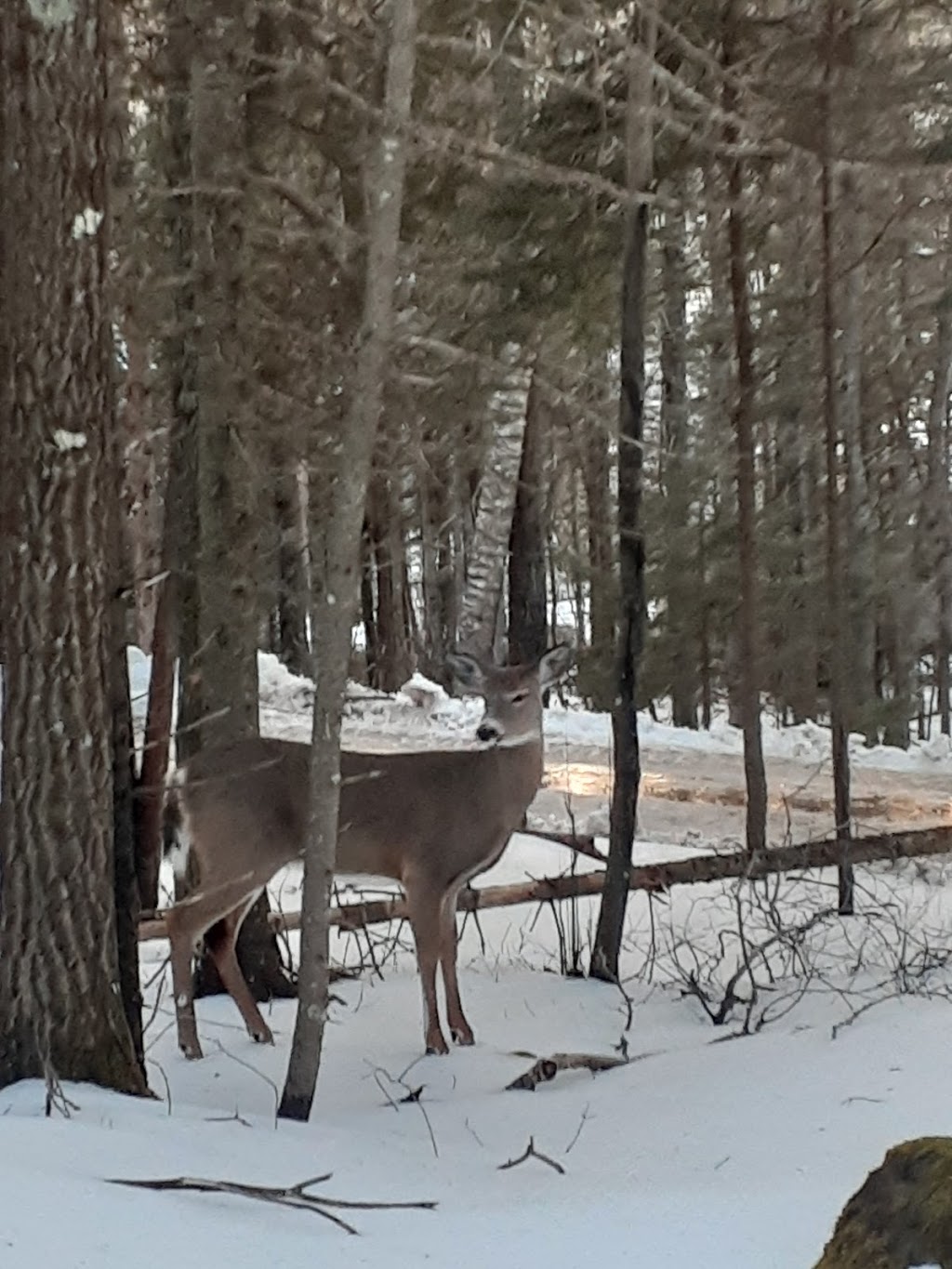 Dutch Point Trails | Hampton, NB E5N 6A9, Canada | Phone: (506) 832-6449