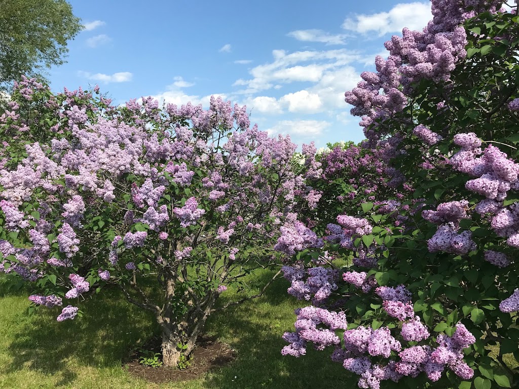 Jardins de Cap-à-lAigle | 625 Rue St Raphaël, La Malbaie, QC G5A 2N8, Canada | Phone: (418) 665-3747