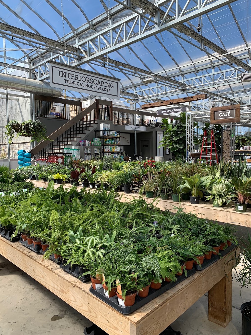 Connon Nurseries | 656 Robson Rd, Waterdown, ON L0R 2H1, Canada | Phone: (905) 689-7433