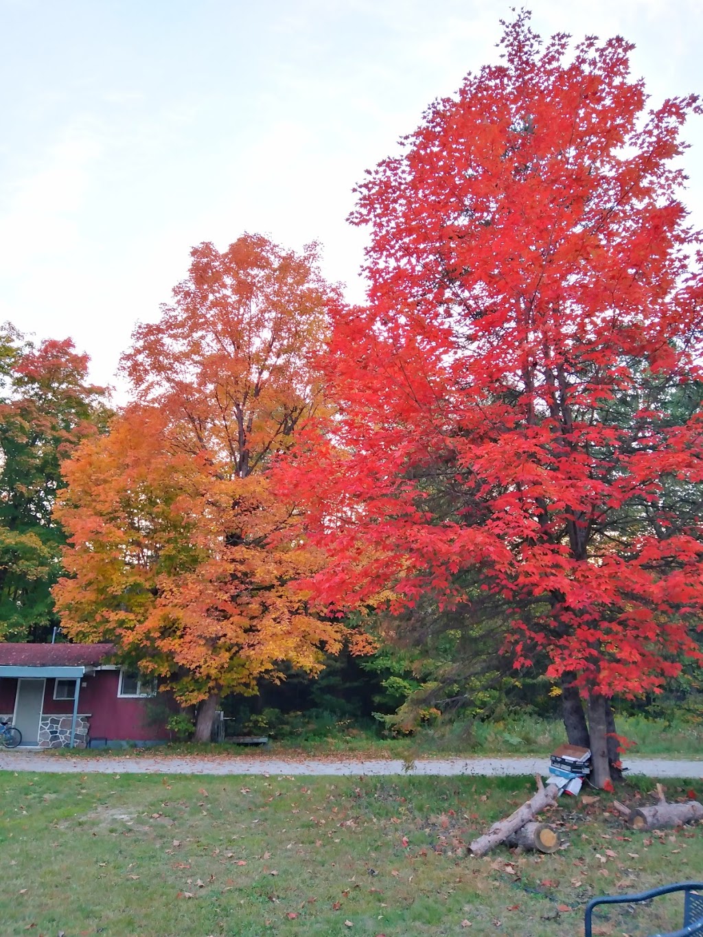 Sherwood Forest Motel | 1346 Lake Joseph Rd, Parry Sound, ON P2A 2W8, Canada | Phone: (705) 378-2848