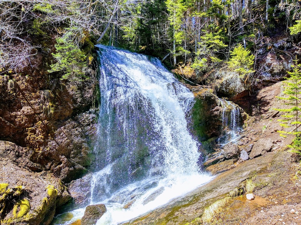 Fuller Falls Trailhead | Fundy Trail Pkwy, Salmon River, NB E5R 0B3, Canada | Phone: (866) 386-3987