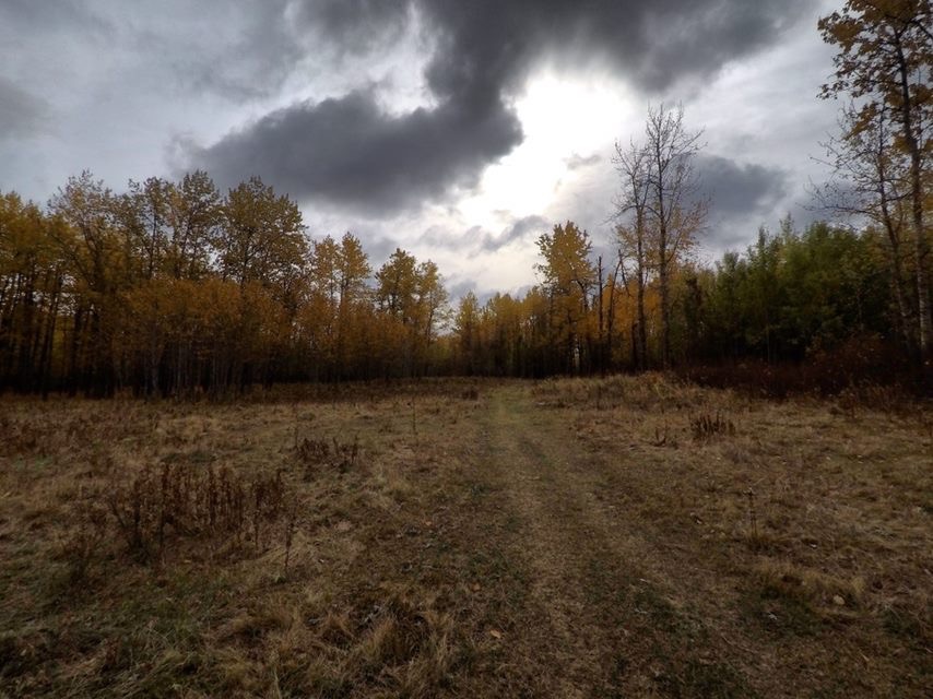 Hayburger trailhead # 1 - Elk Island National Park | Fort Saskatchewan, AB T8L 2N7, Canada | Phone: (780) 922-5790