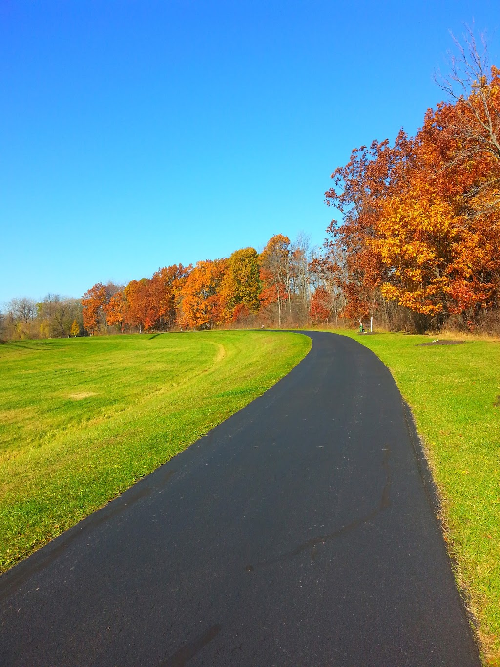 Ellicott Creek Trail way Park | 1398 N Forest Rd #1384, Buffalo, NY 14221, USA