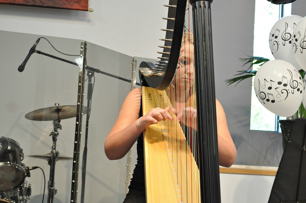 Chantal Dube the Harpist | 58 Somerville Rd, Acton, ON L7J 2Z7, Canada | Phone: (416) 909-9944