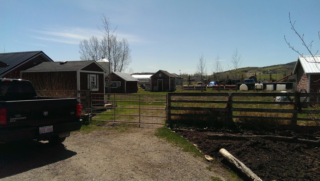 Black Diamond Valley Farm | 112 St W, Foothills No. 31, AB T0L 0H0, Canada | Phone: (403) 995-2837