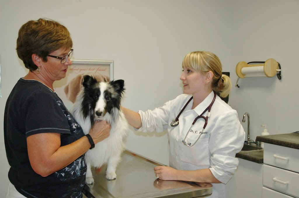 Pembroke Animal Hospital | 905 Pembroke St E, Pembroke, ON K8A 3M3, Canada | Phone: (613) 732-3641