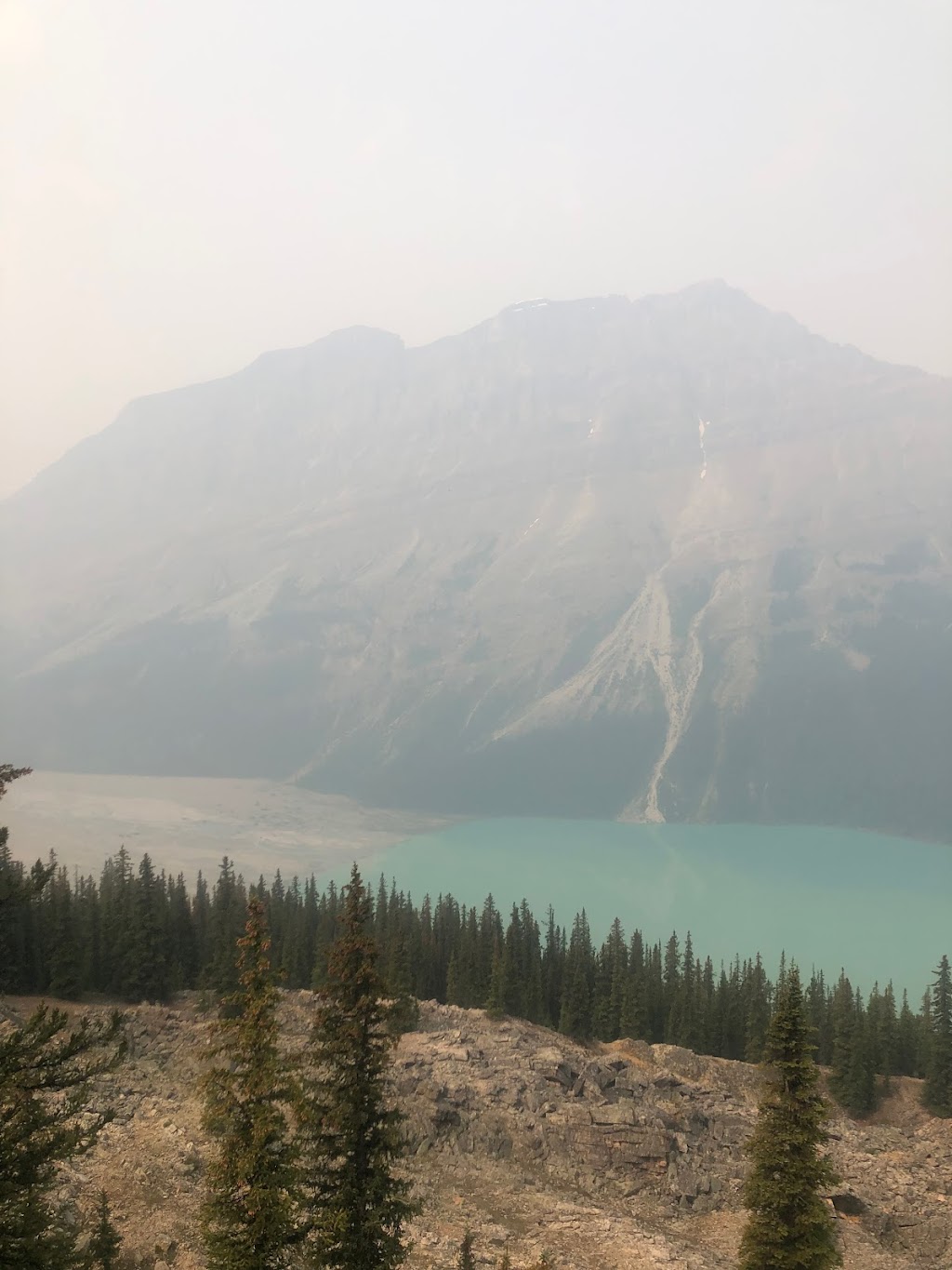 Bow Summit and Peyto Lake | Icefields Pkwy, Jasper, AB T0L 1E0, Canada | Phone: (403) 522-3833