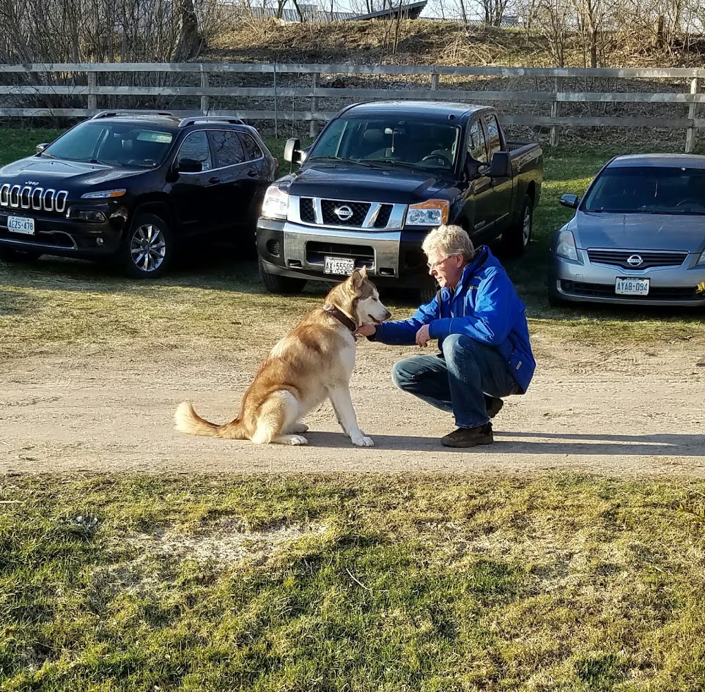 Horse Spirit Connections | 10th Side Rd, Tottenham, ON L0G 1W0, Canada | Phone: (416) 520-6276