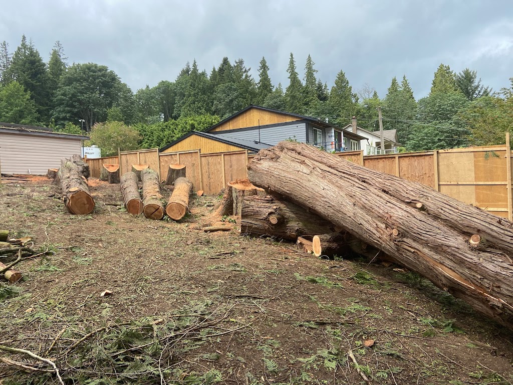 Summit Tree Care | 3646 Reynolds Rd, Nanaimo, BC V9T 2P4, Canada | Phone: (250) 268-8883