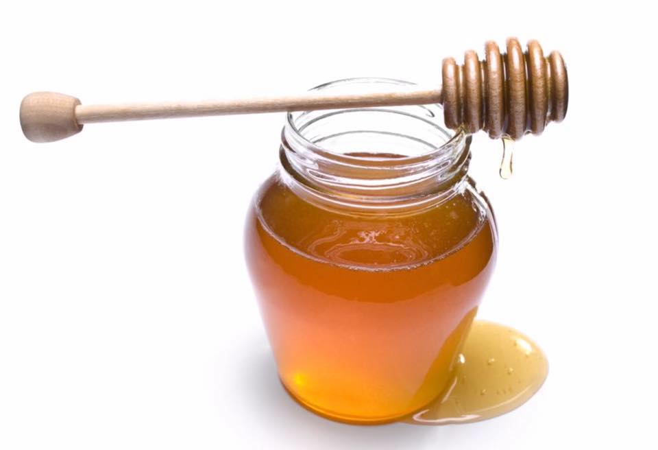 Just Bee Cuz Honey Farm | 1494 ON-37, Plainfield, ON K0K 2V0, Canada | Phone: (705) 358-0543