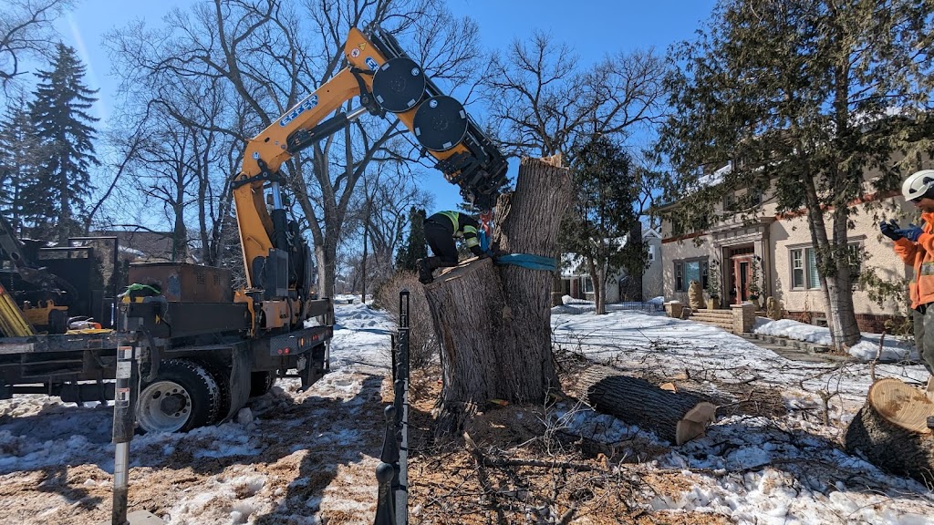 Green Drop Tree Care | 6660 Taylor Dr. #105, Red Deer, AB T4P 1Y3, Canada | Phone: (833) 928-8733