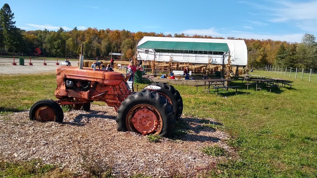 Stonehaven Farm Market | 7388 Guelph Line, Campbellville, ON L0P 1B0, Canada | Phone: (905) 878-1870